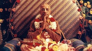His Divine Grace A.C Bhaktivedanta Swami Srila Prabhupada  |  24th April 2024