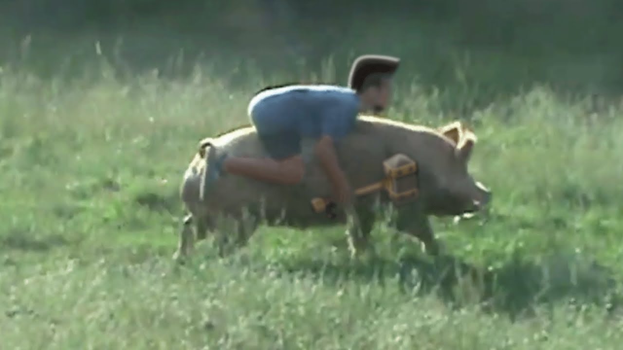 Hog Rider in REAL LIFE - YouTube