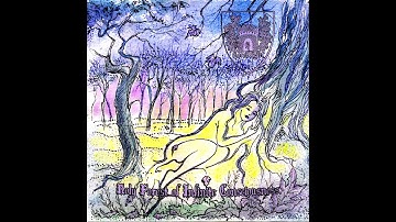 Torchlight - Holy Forest of Infinite Consciousness (2020)