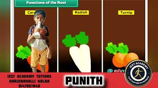 Plant life explanation by punith #iestacademy #spokenenglish_iest #plantlife #evs 
