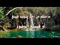 م ا م ن ك م م ن أح د ي ت و ض أ ف ي ب لغ أ و ف ي س ب غ الو ض وء
