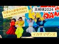 イカサマダンス / 豆柴の大群都内某所a.k.a. MONSTERIDOL 2024.9.15 高槻魂 高槻市立桃園小学校 #豆柴の大群 #都内某所 #モンアイ #水曜日のダウンタウン