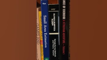 A Sample Of A Statistician