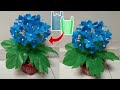 DIY Cara membuat Bunga Hydrangea dari plastik kresek | How to make Hydrangea from plastic bag