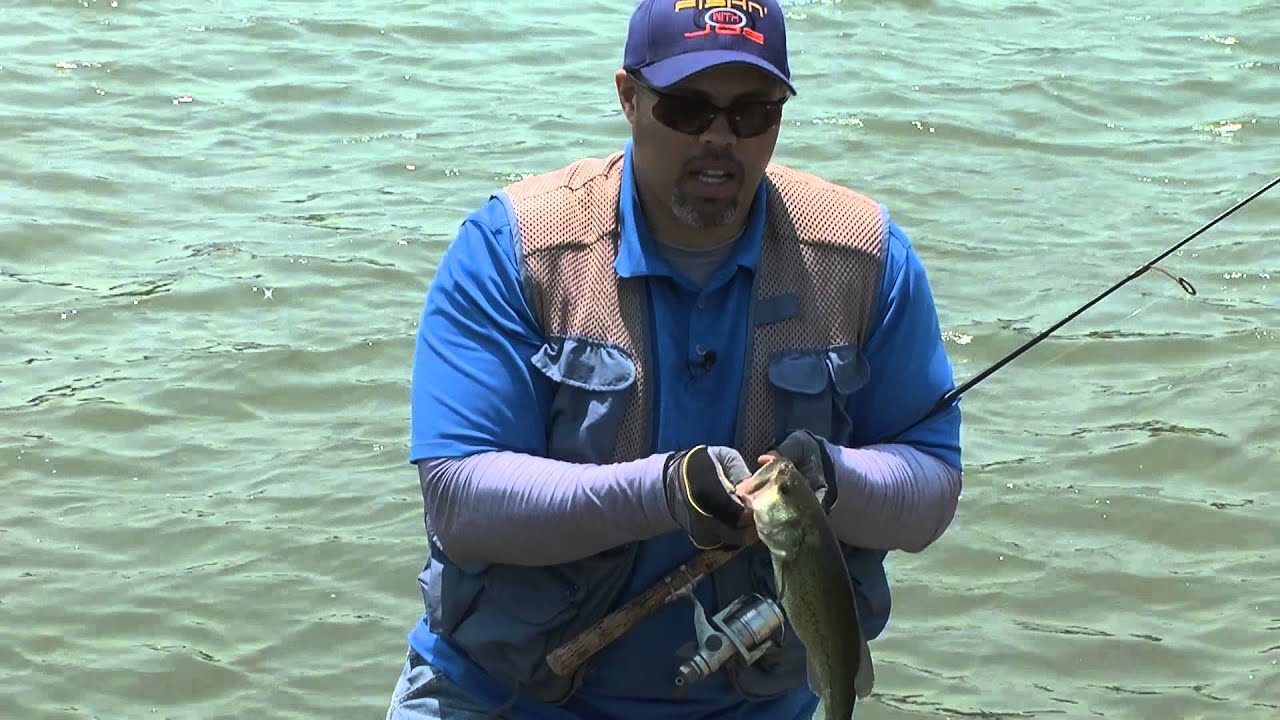 Alum creek fishing reports