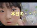 本日のシール帳と本日のメイク♡｜予防歯科　原歯科医院【調布市・八雲台・布田駅】
