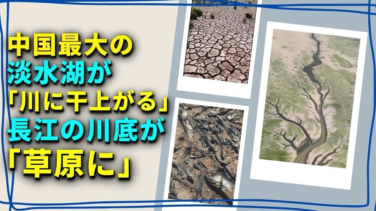 ヨーロッパの川が涸れる：過去500年で最大規模と考えられる干ばつの影響