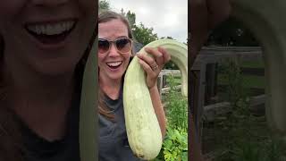 Harvest Time!