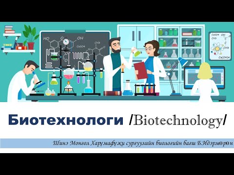 Видео: Рекомбинант ДНХ технологийн ямар техникүүд байдаг вэ?