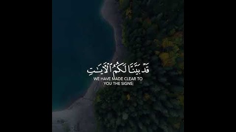 اعلموا أن الله يحيى الارض بعد موتها قد بينا لكم الآيات لعلكم تعقلون | حالات واتس 🤍