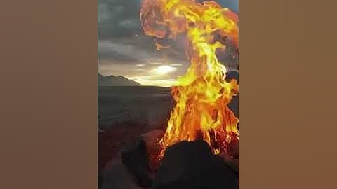 واتس اب قران كريم القارئ مشاري فالح سوره طه