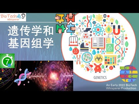 在七分钟内，学习遗传学和基因组学的透视概述  Genetics and Genomics (Chinese)
