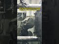 350-ton high-pressure die-casting aluminum alloy bearing end cap#youtubeshorts