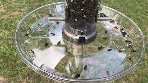 Aspects Bird Feeder Seed Tray 423 - Unboxing and Setup