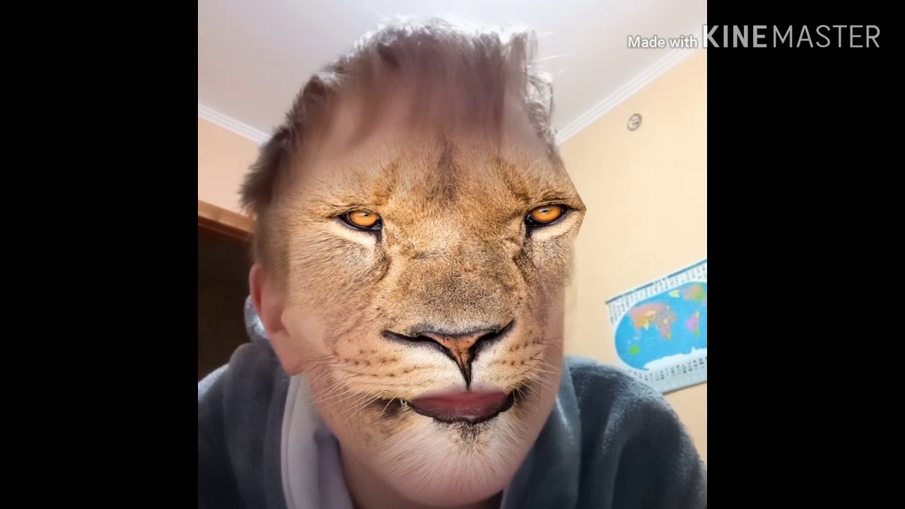 Тесла я лев