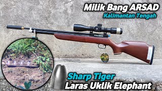 Sharp Tiger Milik Bang Arsad Dari Kota Palangkaraya - Kalimantan Tengah