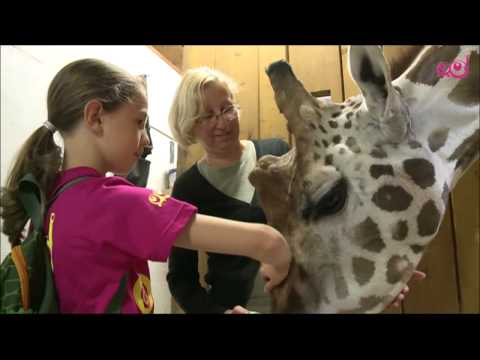 Video: Počitnice Z Otroki: Vikend V živalskem Vrtu