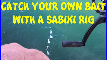 Use A Sabiki Rig To Catch Your Own Live Bait