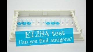 Detecting an antigen with an ELISA test