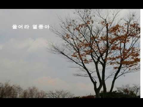 [TJ노래방라운지] 울어라열풍아 - 이미자