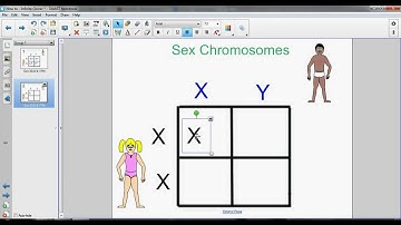 Smartboard Tutorial - Clone objects