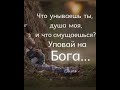 🌿ГЛУБОКИЕ СТИХИ ИЗ БИБЛИИ ДЛЯ УТЕШЕНИЯ 💮🌺💮Христианское пожелание.🌿