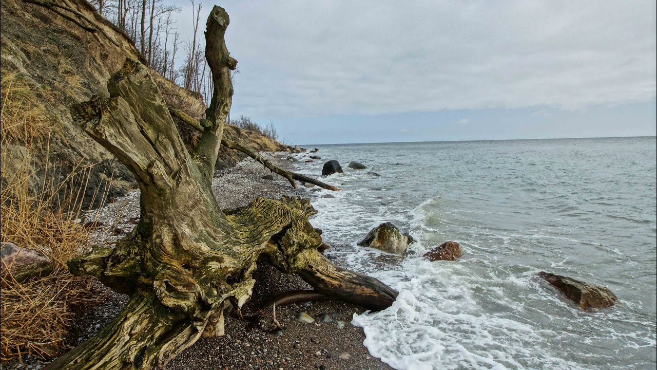 Rugård Sønderskov/ Vintergåtur/ Fiske- Og Dykkevand/ Djursland