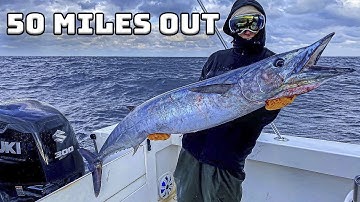 EPIC WINTER WAHOO FISHING TOURNAMENT! Catch & Cook!