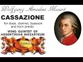 Miniature de la vidéo de la chanson Bassoon Concertino: Iii. Polacca