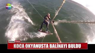 Koca okyanusta balinayı buldu