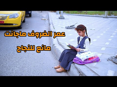 فيديو: هذا سترة الصخرة الشرير قد فقط حفظ حياة الجرو الخاص بك من هجوم ذئب