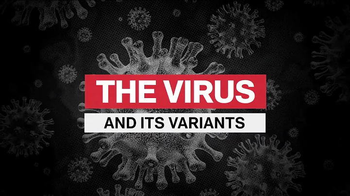 Pfizer Vaccine Provides Less Immunity to Omicron Variant