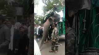 Download Lagu live at Bibi ka alam #muharram #hyderabad #shia #karbala #iran #iraq #elephant #muharram2022 #alam MP3