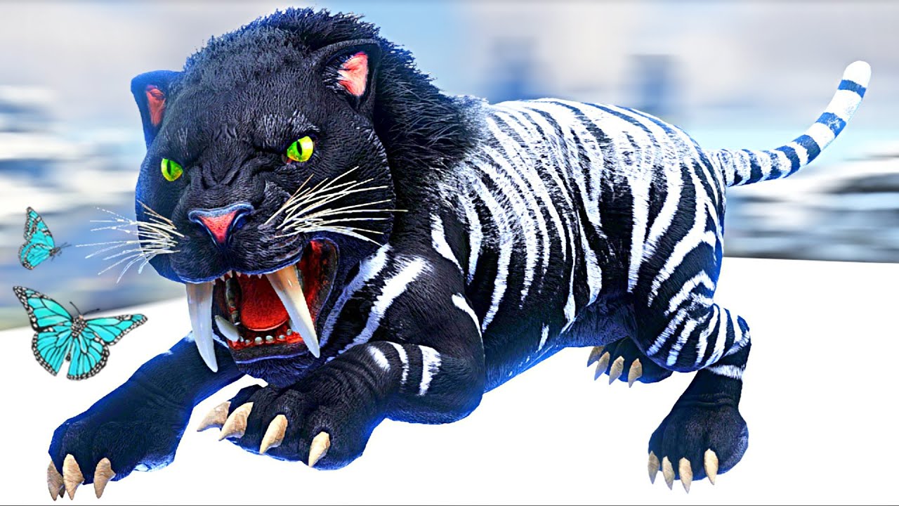A História do Bebê Tigre Que Foi Roubado de Sua Família a Força! Ark ...