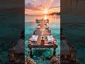 Glass Pier Sunrise | Tropical Lofi Beats to Escape Reality