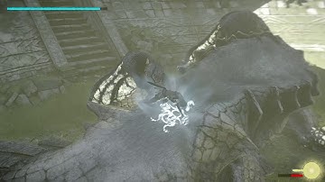SHADOW OF THE COLOSSUS 2018 Walkthrough Gameplay Part 8 - Scaler of the Colosseum