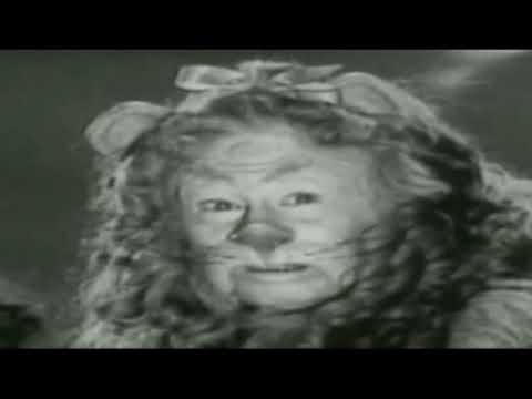 COWARDLY LION COSTUME FROM 'THE WIZARD OF OZ' . WH...