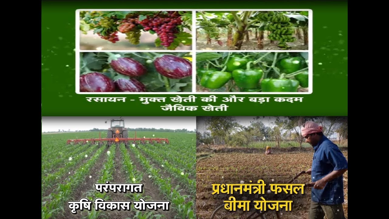 Chaupal Charcha - PKVY & PMFBY special - Ujjain Madhya Pradesh farmers insurance