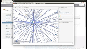 Graph Visualizer Profium Sense  Demo