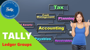 Tally Ledger Groups | Control Ledgers With Details In Hindi | Anil Computers Udaipur