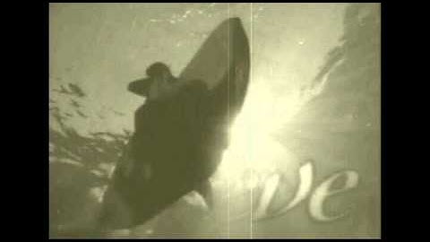 ~|*|Orcas***Perfect|*|~[\]MEP[\]