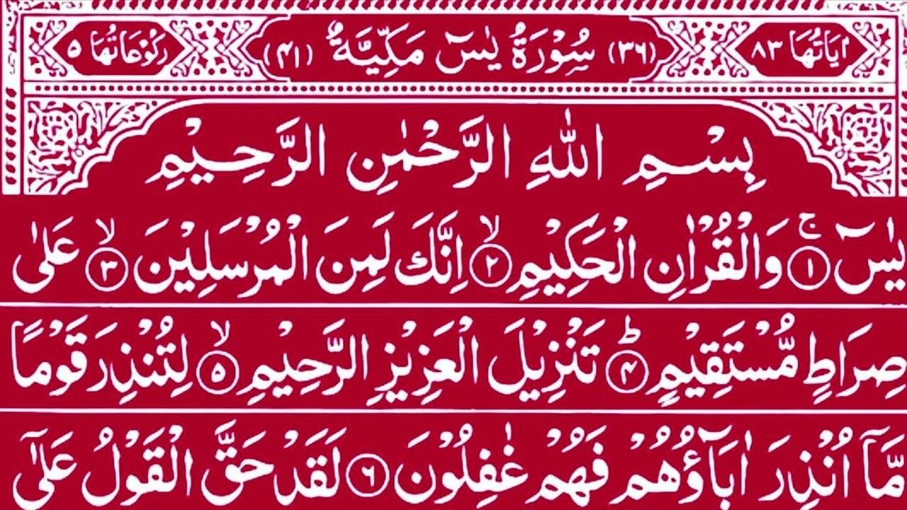 Surah Yaseen Surah Ar Rahman l Best Quran Recitation l Beautiful Tilawat | Quran Tilawat