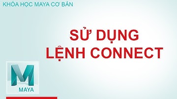 Học maya sử dụng Lệnh Connect trong menu Edit Mesh
