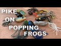 LURE FISHING FOR PIKE. POPPING FROGS