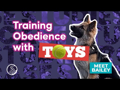 Bailey Case Study ❘ All you need is Toys