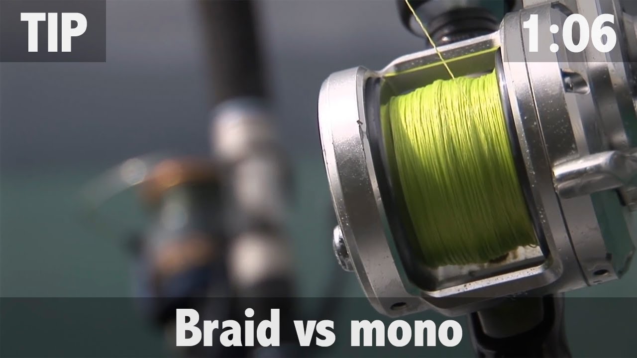 BRAID VS MONO 