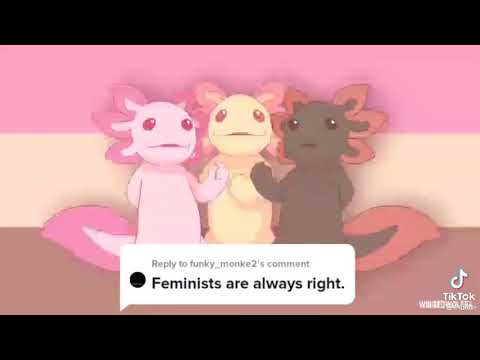 Axolotl fucking bullshit song- Feminists are always right(They aren't)