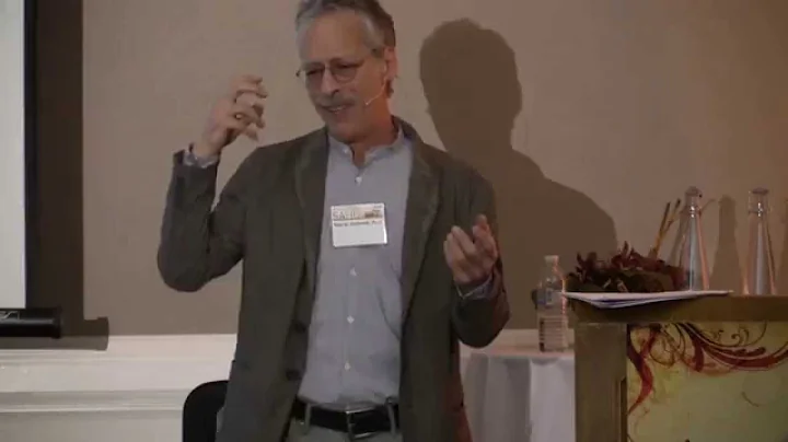 Psycheology: Psychedelics and the Study of the Sou...