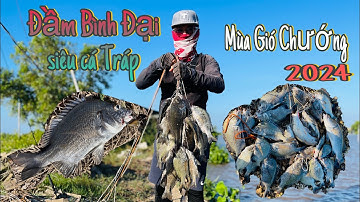 Đầm Bình Đại siêu cá Tráp, mùa Gió Chướng 2024 | Câu Lure cá Tráp siêu dễ với con mồi này.