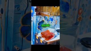 This Man Built An AUTOMATIC Honey Farm In His Backyard 🤯🍯 #usa #shorts